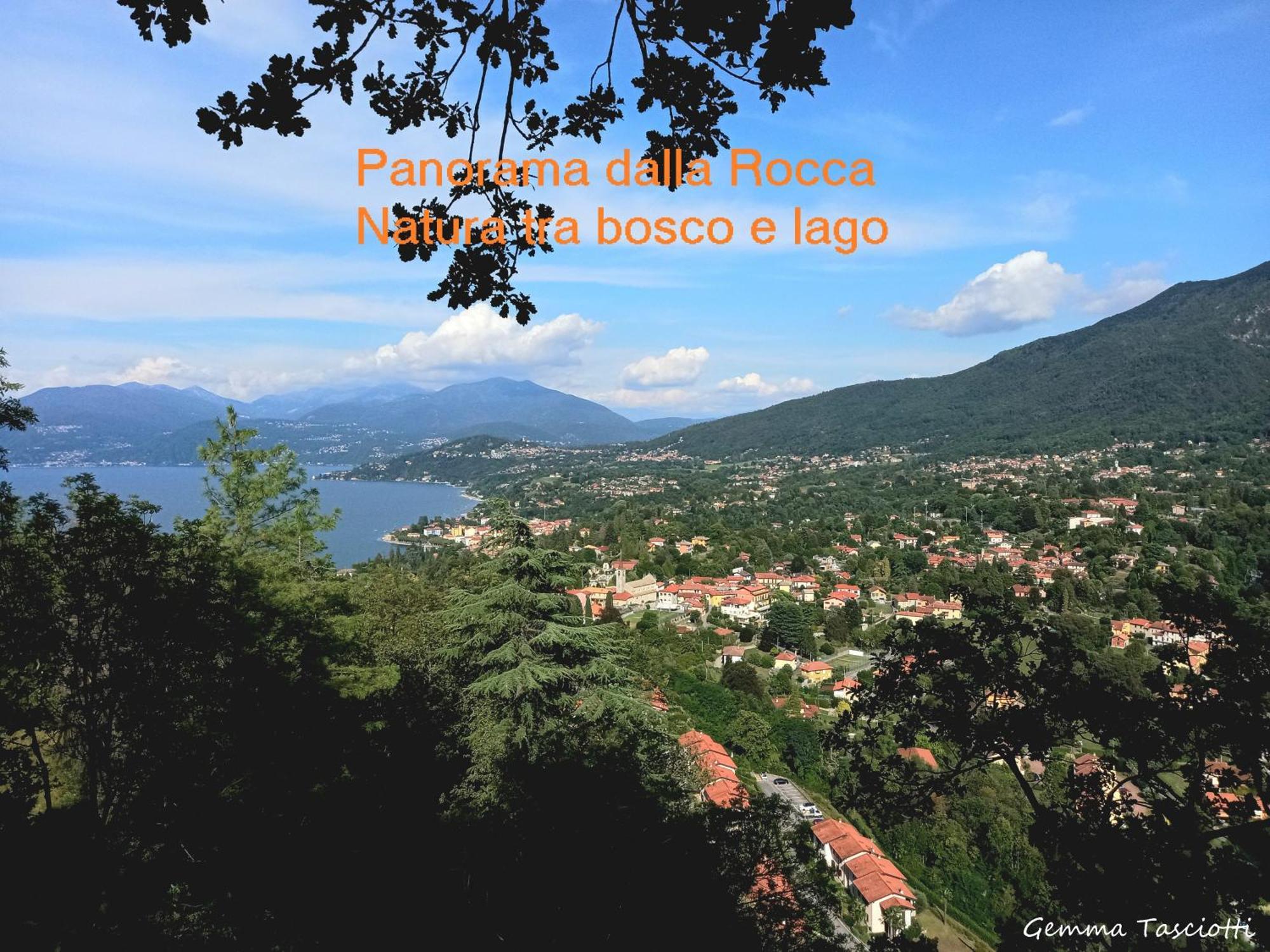 Natura Tra Bosco E Lago Castelveccana 外观 照片